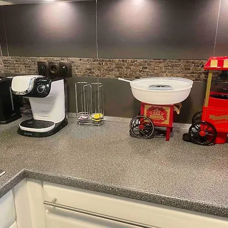 Villa Ferien-villa Direkt Am Rhein Sauna/whirlpool *