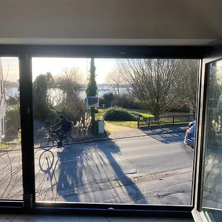 Villa Ferien-villa Direkt Am Rhein Sauna/whirlpool *