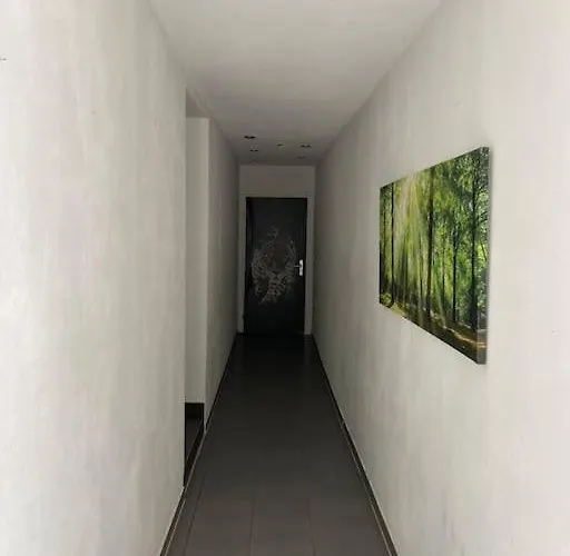 Villa Ferien-villa Direkt Am Rhein Sauna/whirlpool *