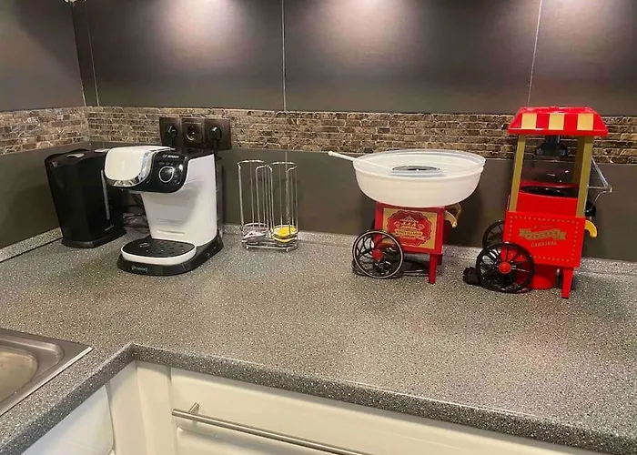 Villa Ferien-villa Direkt Am Rhein Sauna/whirlpool *