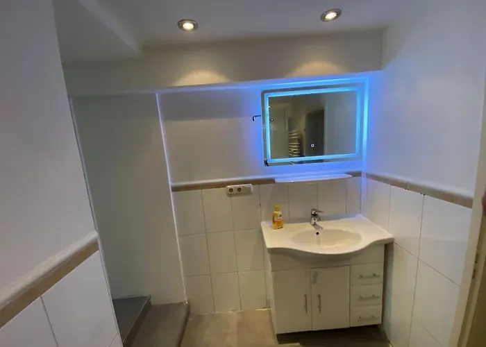 Ferien-villa Direkt Am Rhein Sauna/whirlpool *